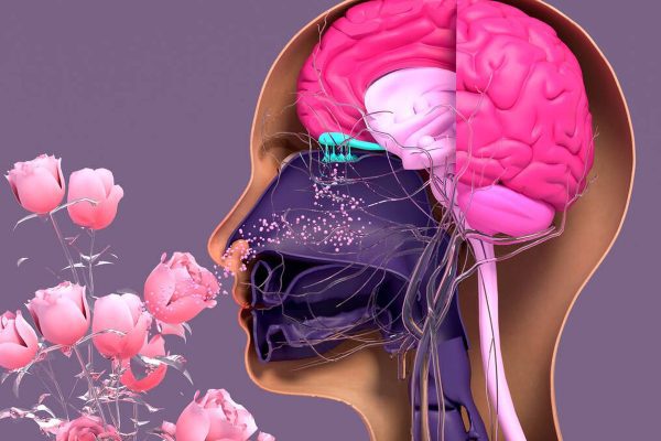 Luego de la conquista del oído y la vista ahora un ex Google quiere conquistar el olfato