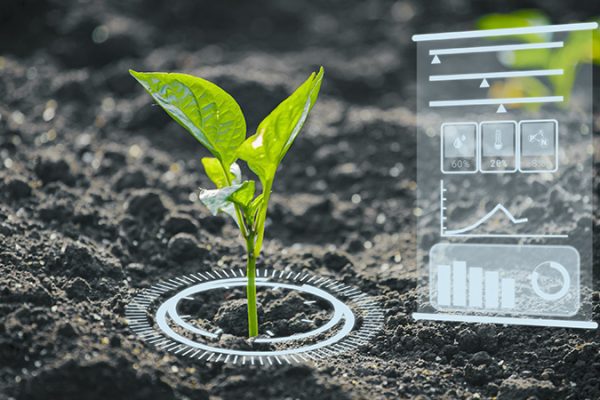 Empresas agroindustriales de Argentina creen que sin IA el sector no tiene futuro