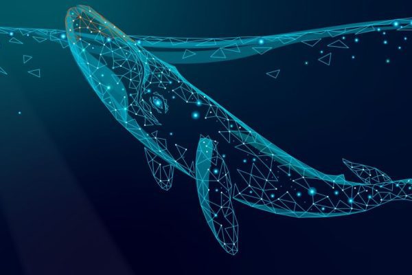 La Amenaza Silenciosa: DeepSeek bajo la lupa y la brecha en la seguridad de datos