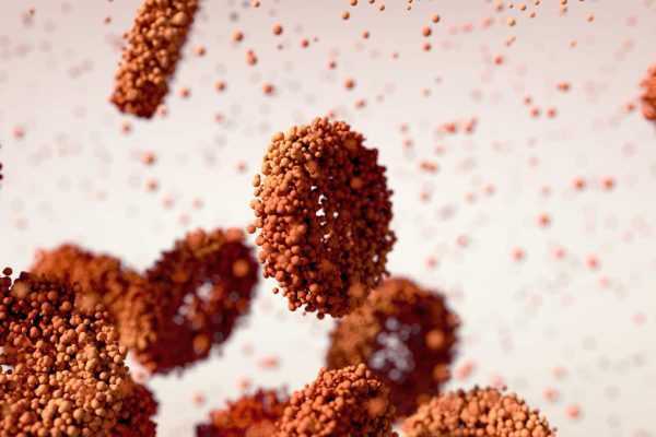Basecamp Research: la carrera tecnológica en la búsqueda de nuevos medicamentos
